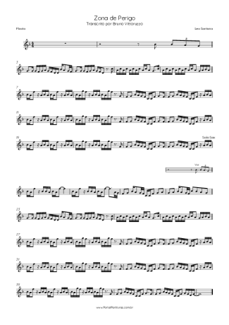 35413 Sheet music - Zona De Perigo - Flute